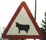 cow-2 cow-2